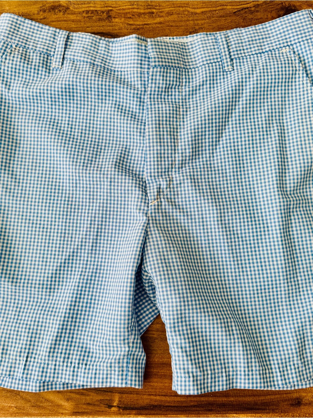 Source Unknown Light Blue & White Gingham Men’s Shorts 32 Waist